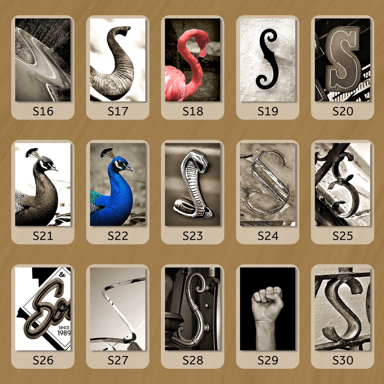 Sepia Letter S
