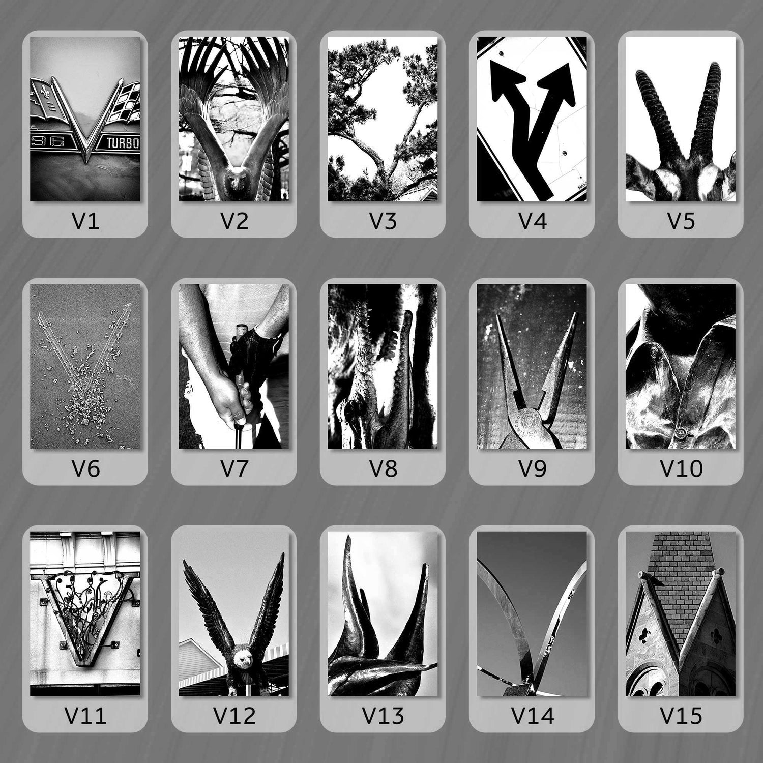 Black and White Letter V