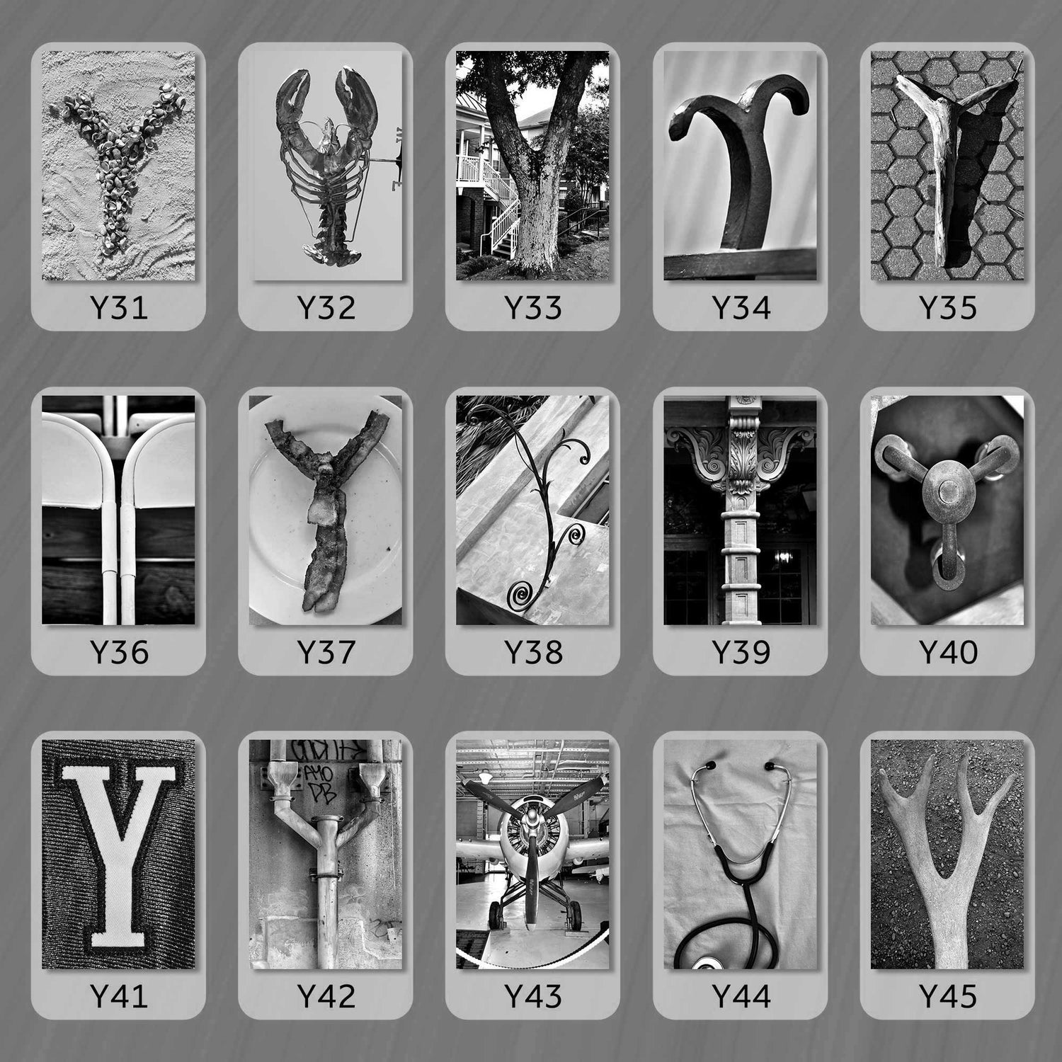 Black and White Letter Y