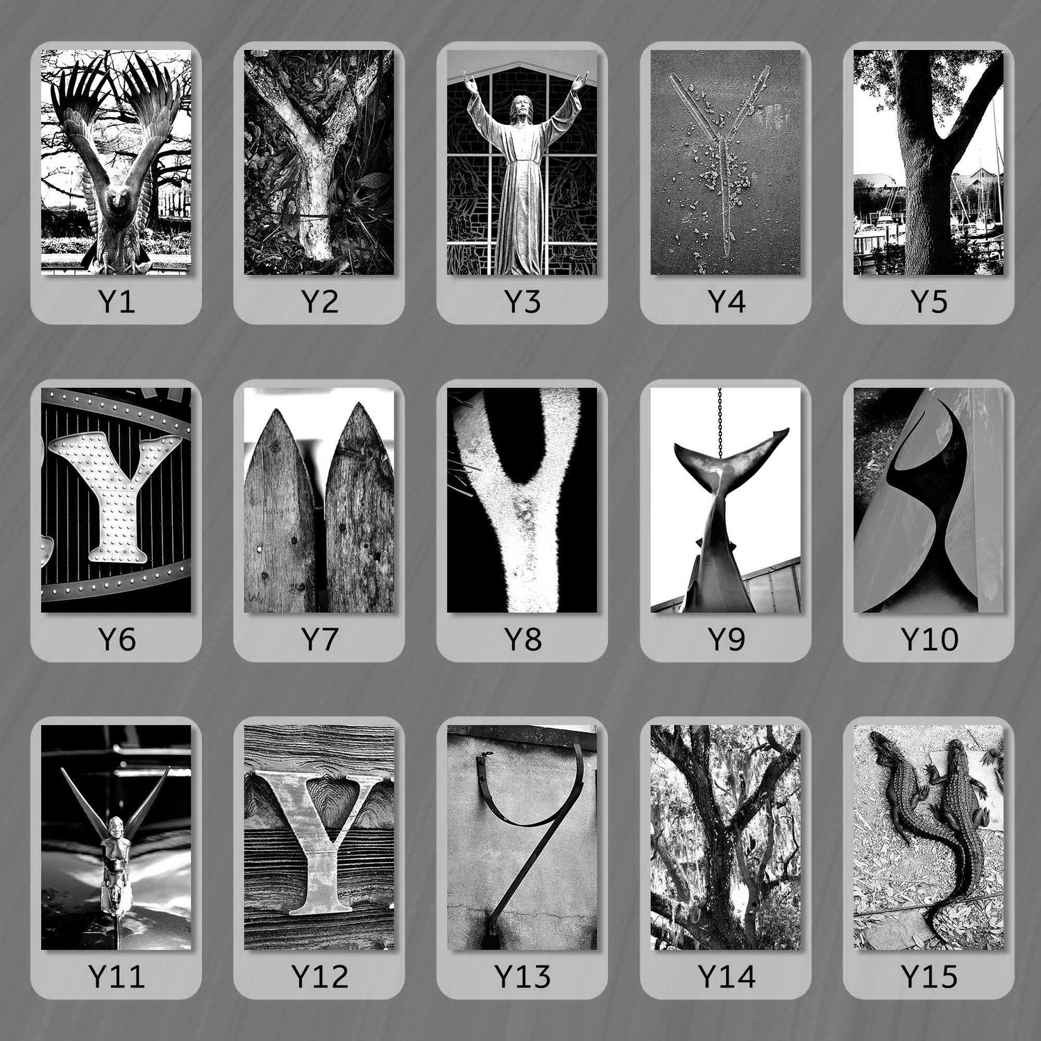 Black and White Letter Y