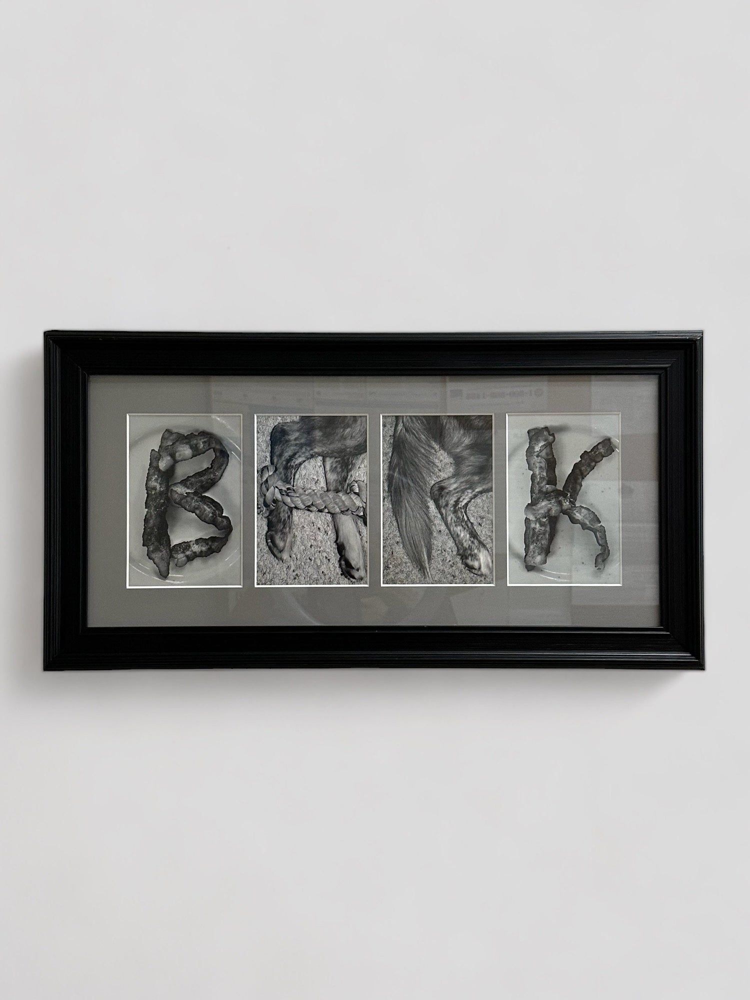 BARK Premade Letter Art