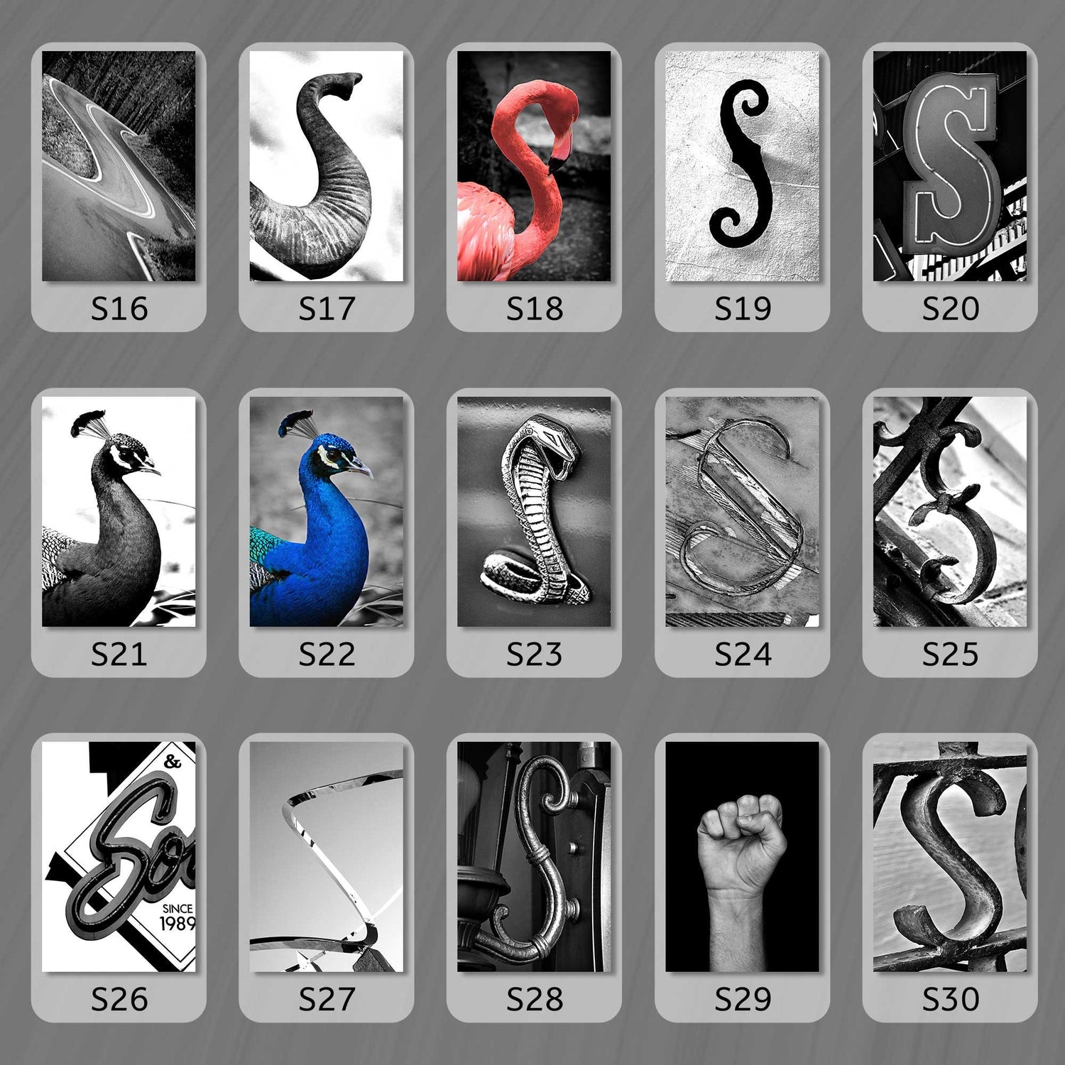 Black and White Letter S