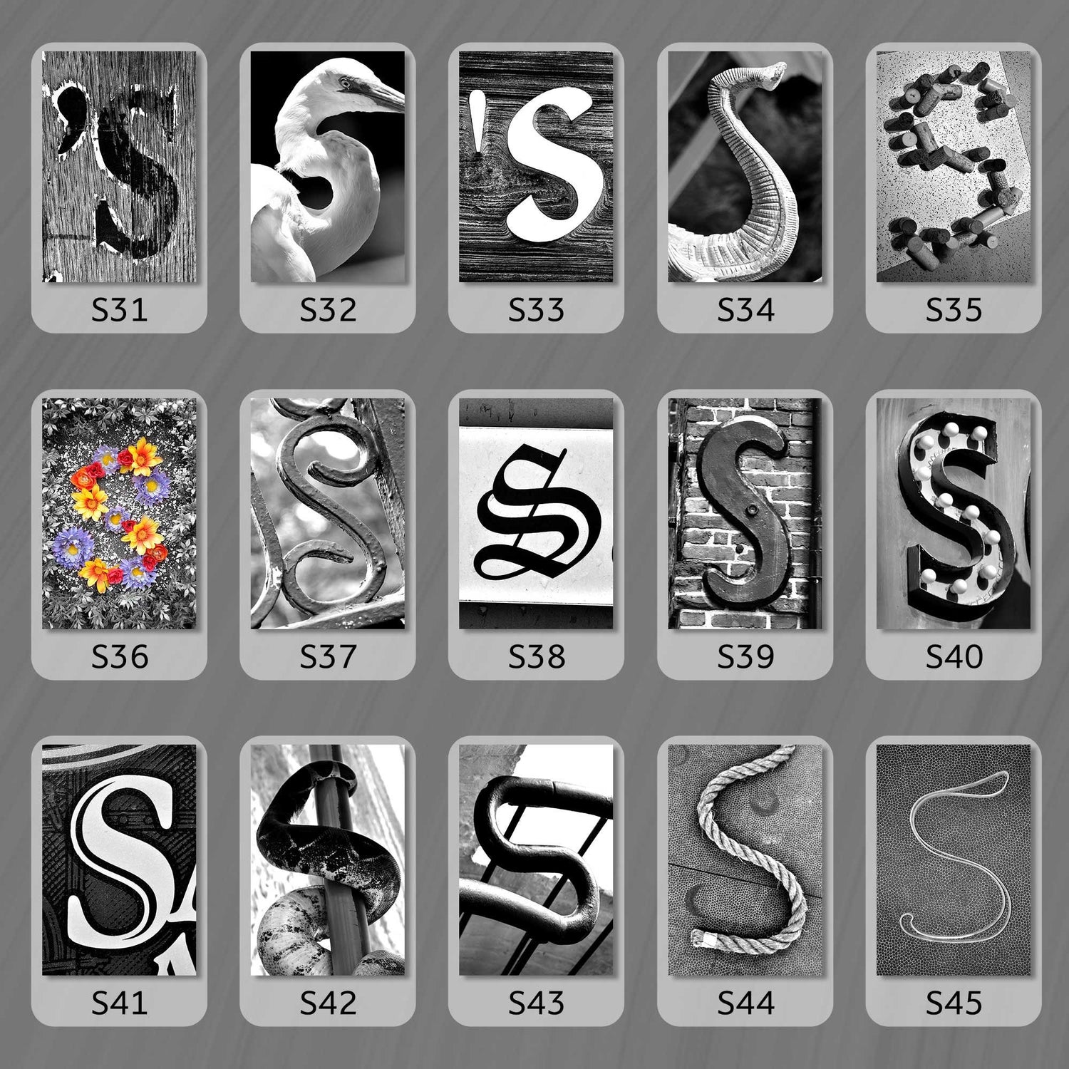 Black and White Letter S