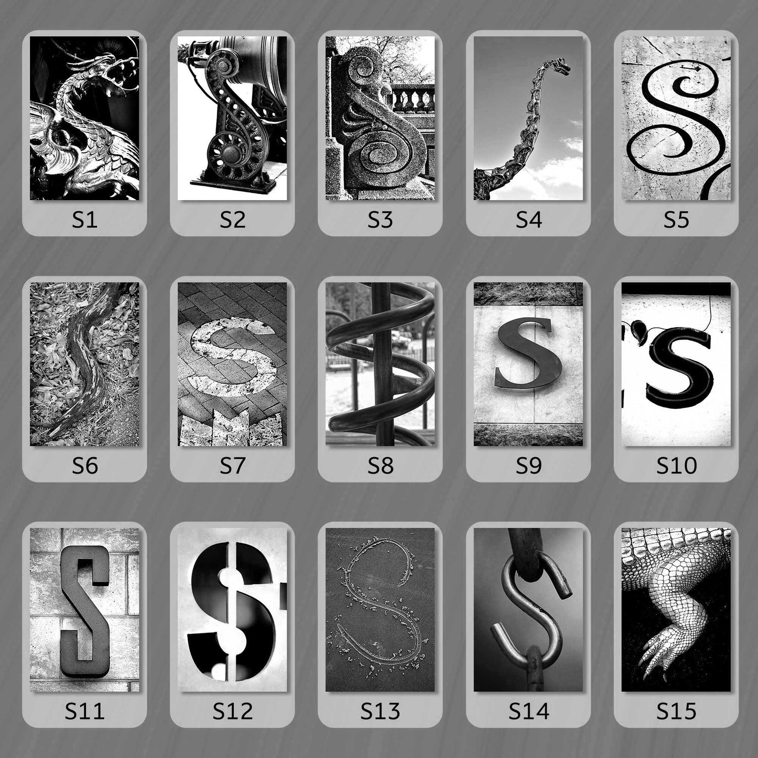 Black and White Letter S