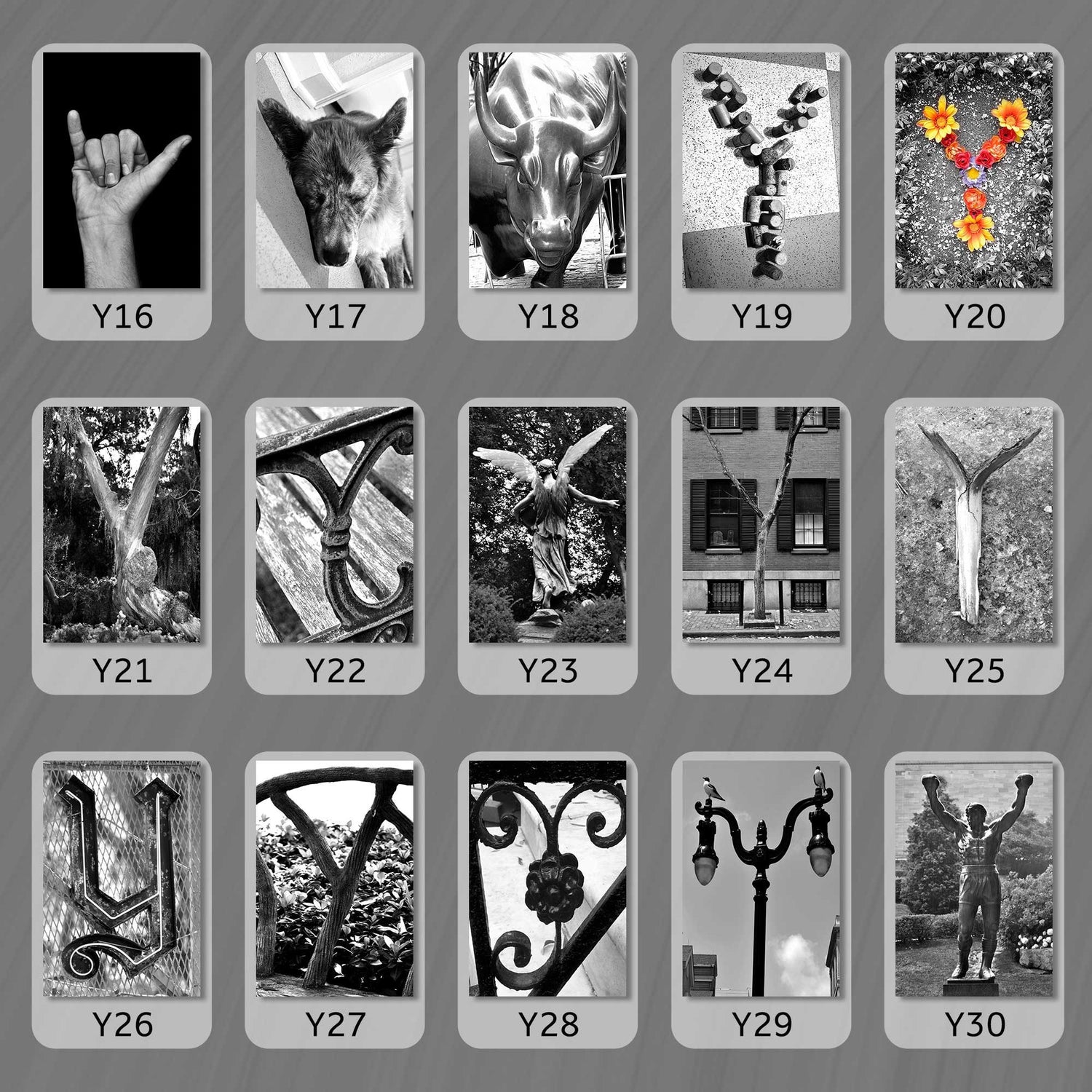 Black and White Letter Y