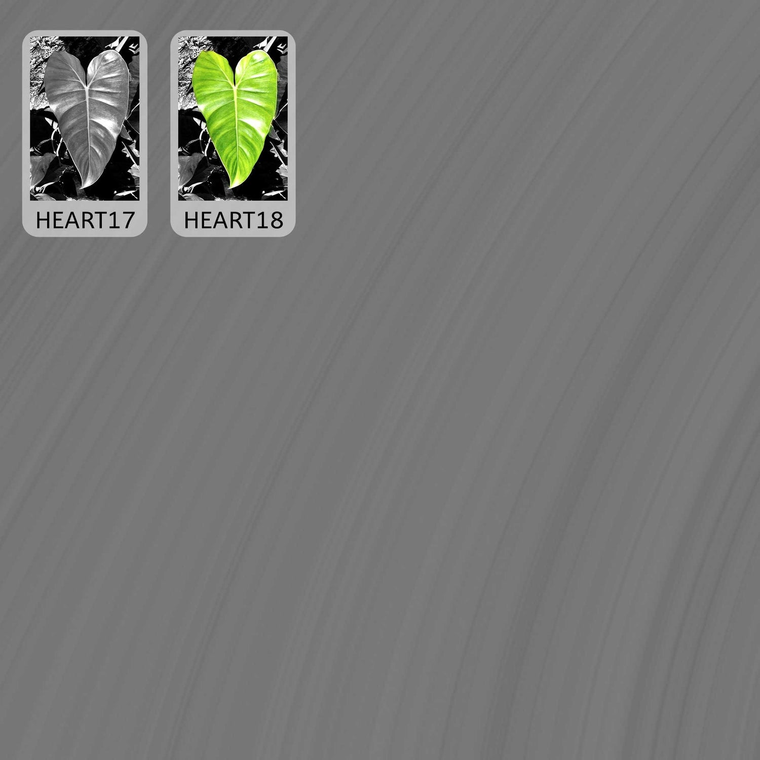 Black and White Hearts