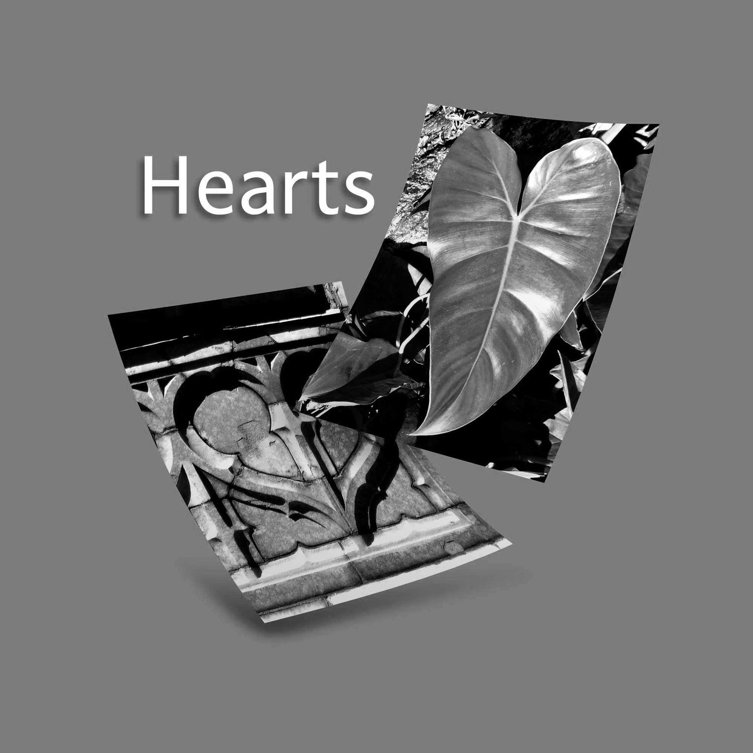 Black and White Hearts