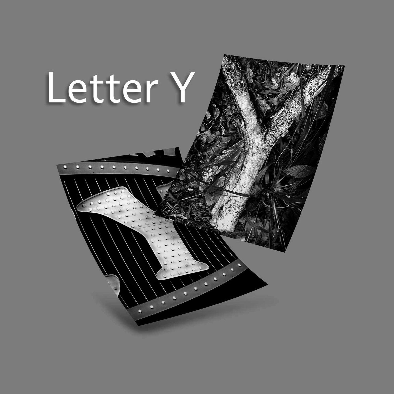 Black and White Letter Y