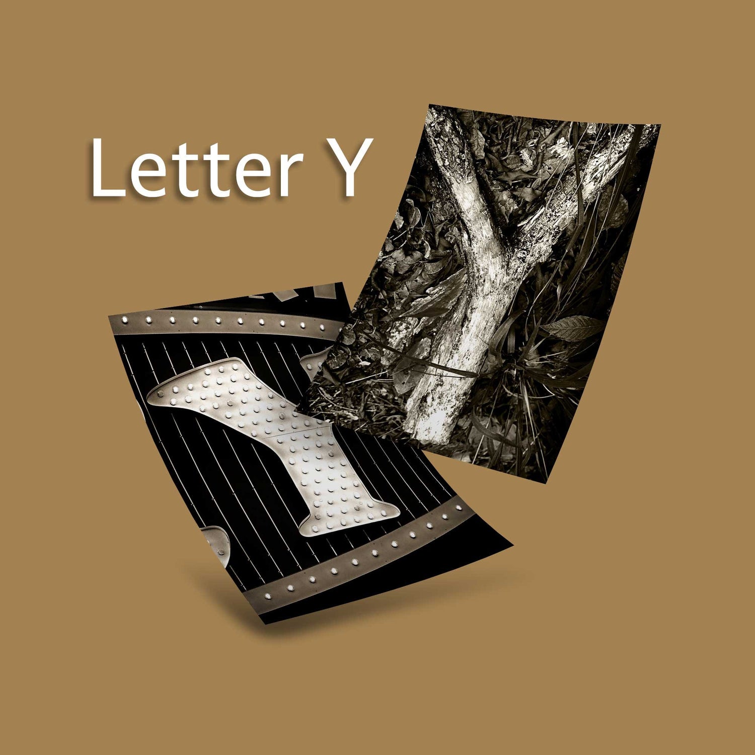 Sepia Letter Y