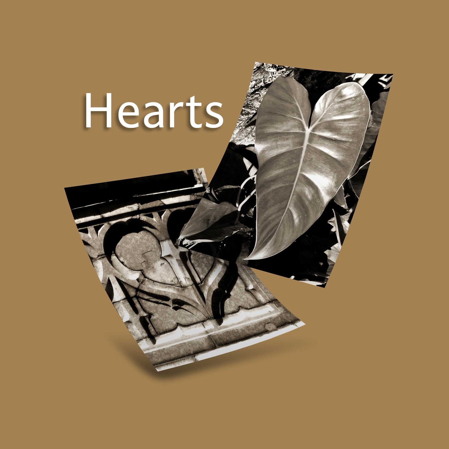Sepia Heart